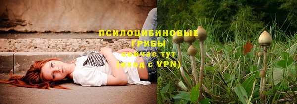 прущая мука Бронницы