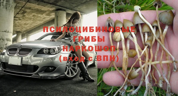 кокаин премиум Бородино